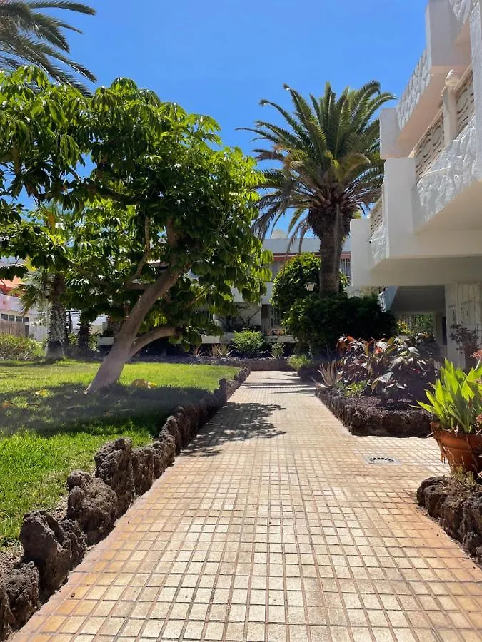 Oasis Relax Apartment Costa Del Silencio Spain